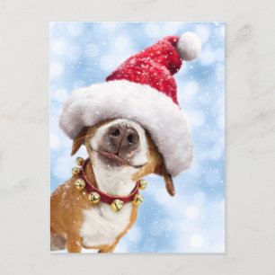 Hond Met Grote Kerstman Hoed Uitnodiging Briefkaart