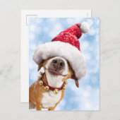 Hond Met Grote Kerstman Hoed Uitnodiging Briefkaart (Voorkant / Achterkant)