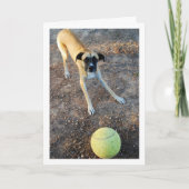 Hond met grote tennisbal kaart (Voorkant)