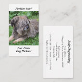 Hond met haar over zijn ogen visitekaartje (Voorkant / Achterkant)