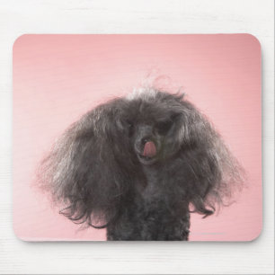 Hond met haar voor het gezicht en de tong uit muismat