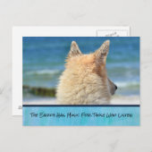 Hond met Inspirerend boodschap Briefkaart (Voorkant / Achterkant)