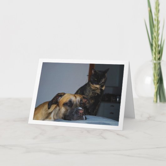 Hond met Kattenportret Kaart (Voorkant)