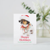 Hond met kersthalsband en kerstmuts feestdagenkaart (Staand voorkant)