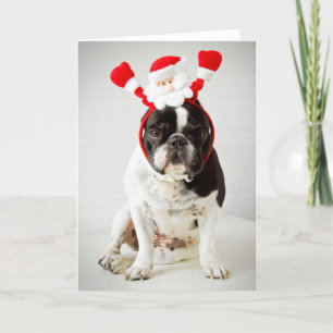 Hond met kersthoofdband feestdagen kaart