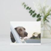 Hond met kop uit een raam briefkaart (Staand voorkant)