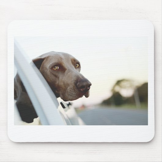 Hond met kop uit een raam muismat (Voorkant)