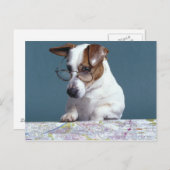 Hond met leesbril die kaart bestudeert (Voorkant / Achterkant)