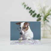 Hond met leesbril die kaart bestudeert (Staand voorkant)