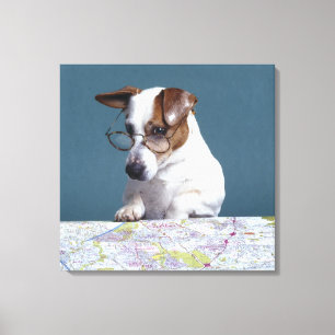 Hond met leesbril die kaart bestudeert canvas afdruk