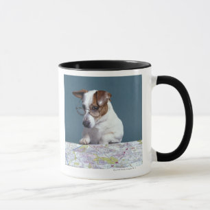 Hond met leesbril die kaart bestudeert mok