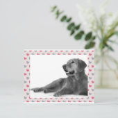 Hond met mooie harten briefkaart (Staand voorkant)