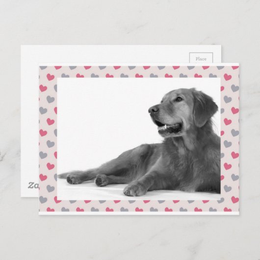 Hond met mooie harten briefkaart (Voorkant / Achterkant)