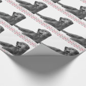 Hond met mooie harten cadeaupapier (Hoek)