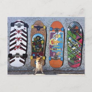 Hond met muurschildering van skateboards briefkaart