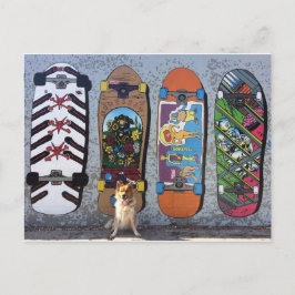 Hond met muurschildering van skateboards briefkaart