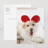 Hond met speelgoed in bed briefkaart (Voorkant / Achterkant)