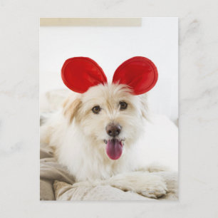 Hond met speelgoed in bed briefkaart
