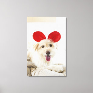 Hond met speelgoed in bed canvas afdruk