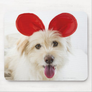 Hond met speelgoed in bed muismat
