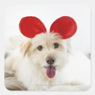 Hond met speelgoed in bed vierkante sticker