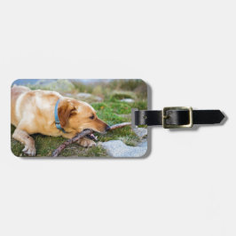 Hond met Stok Bagagelabel