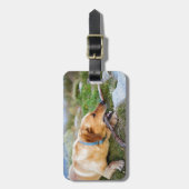 Hond met Stok Bagagelabel (Voorkant verticaal)
