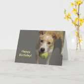 Hond met tennisbal Verjaardag Kaart (Gele Bloem)