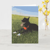 Hond met tongen in het veld uitgelekt kaart (Gele Bloem)