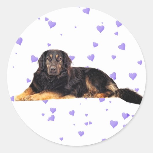 Hond met Vallende paarse Harten Ronde Sticker (Voorkant)