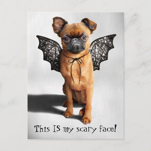 Hond met vleermuisvleugels uitnodiging briefkaart (Voorkant)