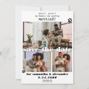 Hond Mijn Mens Trekt Ten Huwelijk Foto Collage Tro Save The Date