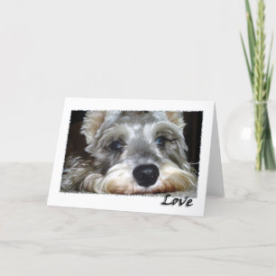 Hond: Mini Duitse Schnauzer w / Love Kaart