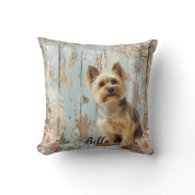 Hond Moeder Beste Vriendinnen Yorkshire Terrier De