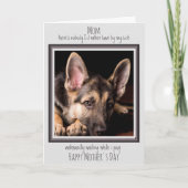 Hond Moeder Grappig Gelukkige Moederdag Schattige Kaart (Voorkant)