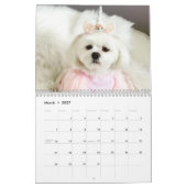 Hond Moeder| Moderne Fotocollage Aangepaste Tekstk Kalender (Mar 2027)