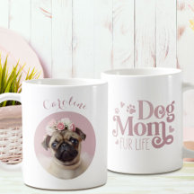 Hond Moeder Vacht Leven Foto