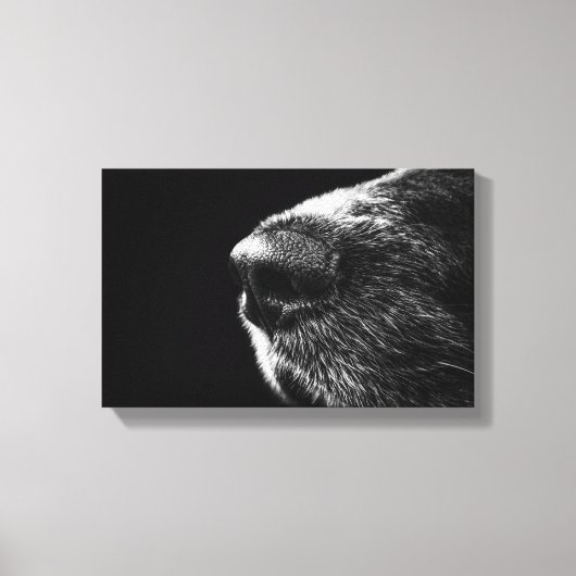 Hond neus verpakt Canvas Afdruk (Voorkant)