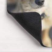 Hond omhoog, close-up muismat (Hoek)