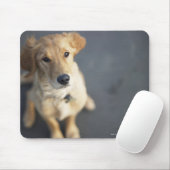Hond omhoog, close-up muismat (Met muis)