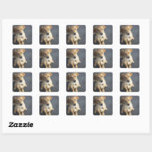 Hond omhoog, close-up vierkante sticker (Vel)