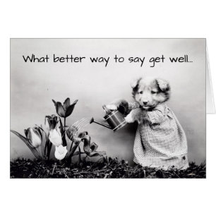 hond omhoog geduwd krijgt een goede Kaart