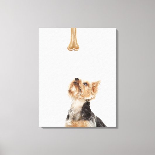 Hond omhoog kijkend bot canvas afdruk (Voorkant)