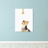Hond omhoog kijkend bot canvas afdruk (Insitu (Houten vloer))