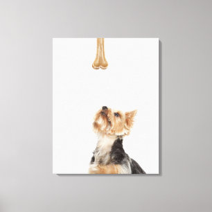 Hond omhoog kijkend naar bot canvas afdruk