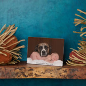 Hond ontmoet nieuwe baby fotoplaat (Zijkant)