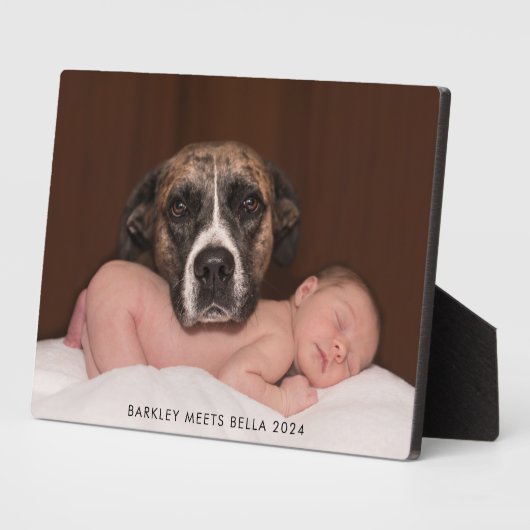 Hond ontmoet nieuwe baby fotoplaat (Zijkant)