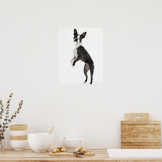 hond op 2 poten staat terwijl hij camera kijkt poster (Keuken)