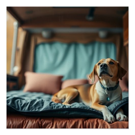 Hond op Bed Perfect Poster (Voorkant)