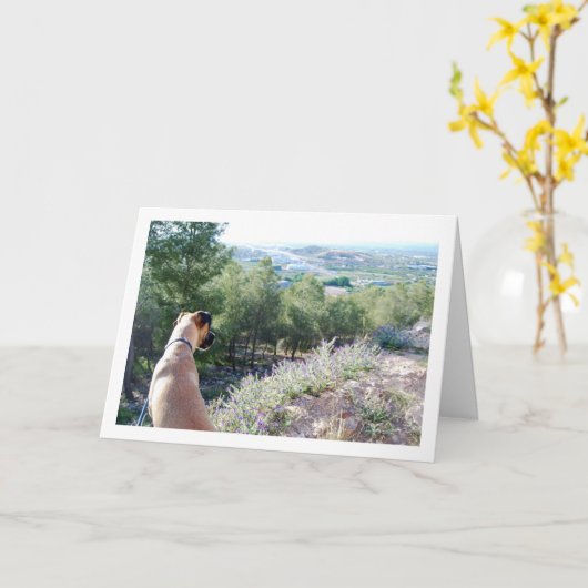 Hond op Bergportret Kaart (Gele Bloem)